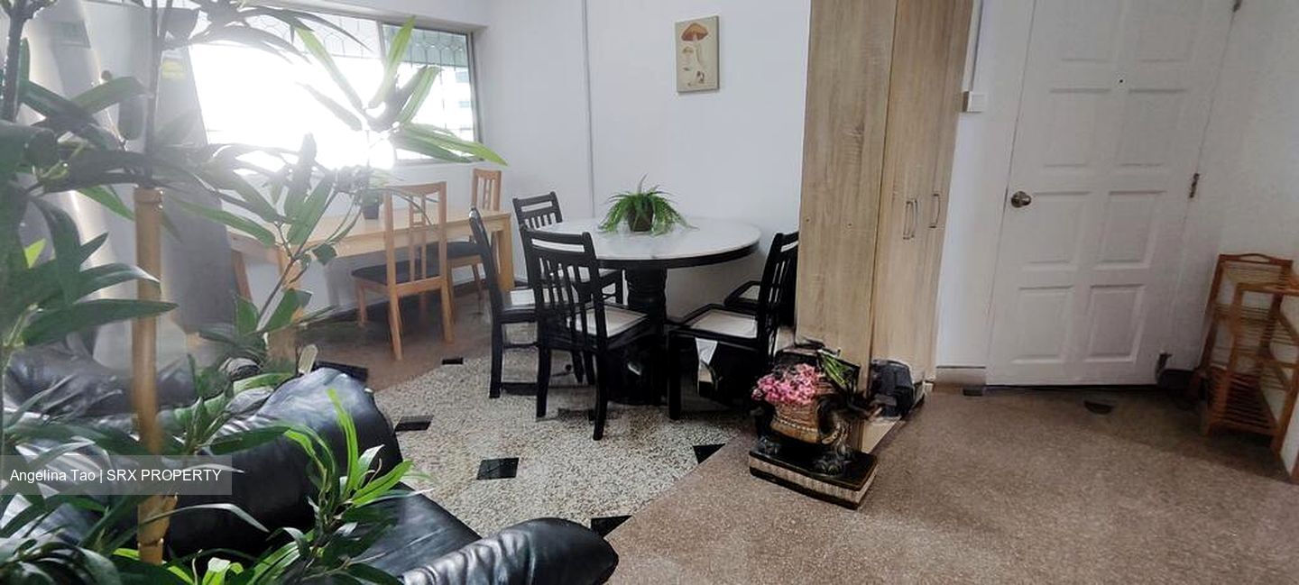 Balestier Plaza (D12), Apartment #498945661